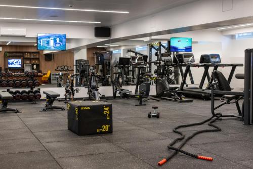 Fitness centrum a/nebo fitness zařízení v ubytování Hotel Afonso V & SPA