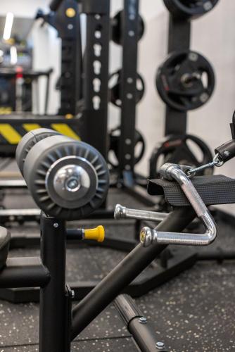 Fitness centrum a/nebo fitness zařízení v ubytování Hotel Afonso V & SPA