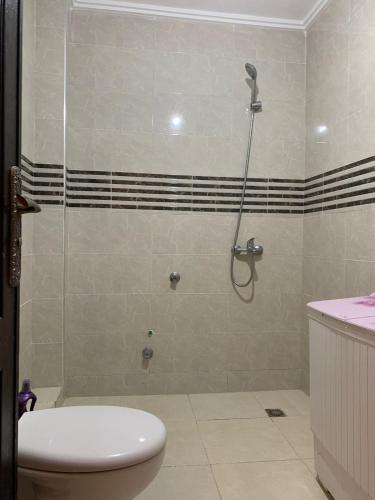 a bathroom with a shower with a toilet and a sink at cozy appartement meublé in Tangier