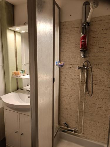 une douche dans une salle de bain avec un lavabo dans l'établissement Studio Mont dore proche funiculaire, à Mont-Dore