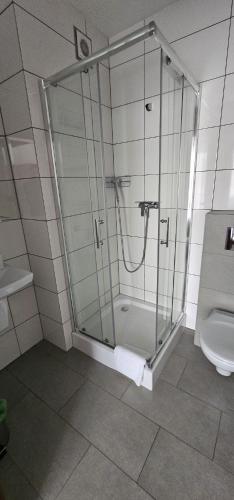 a bathroom with a shower and a toilet at 44 Dominikana in Sianozety