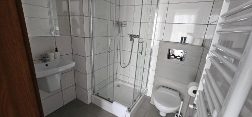 a bathroom with a shower and a toilet and a sink at 44 Dominikana in Sianozety