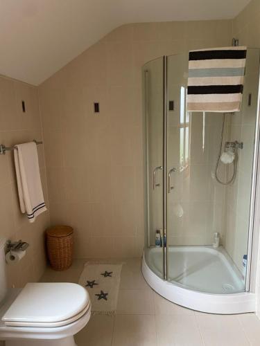 a bathroom with a shower and a toilet and a tub at Adrigoole in Waterford