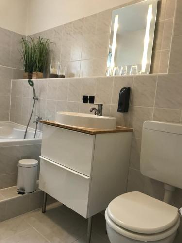 a bathroom with a sink and a toilet and a tub at Ferienwohnung am Wald in Sebnitz