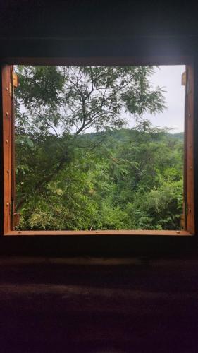 a window with a view of a lush green forest at El Paraíso Ecolodge in Coronel Moldes