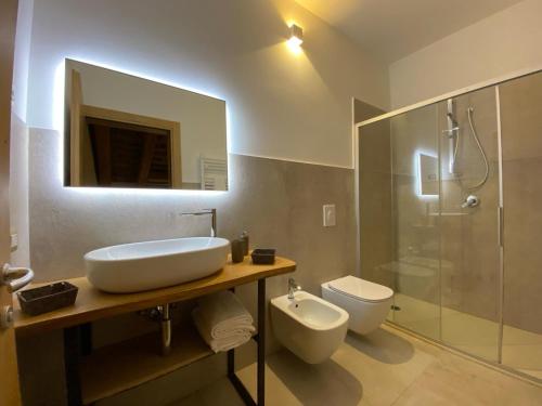 ein Badezimmer mit Waschbecken, Toilette und Dusche in der Unterkunft AZIENDA AGRICOLA CA' LUNGA in Cinto Euganeo