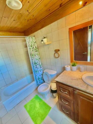 a bathroom with a toilet and a shower and a sink at Villa Grupal en Metro Country Club. in La Fe