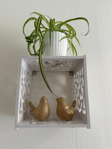 une étagère avec une plante en pot et deux canards en caoutchouc dans l'établissement APPT 4 Proche gare d'Amiens et du centre ville, à Amiens