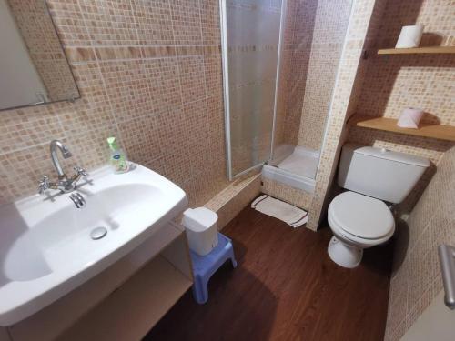 une salle de bain avec un lavabo, des toilettes et une douche dans l'établissement 035 Hameau C31, au Cap d'Agde