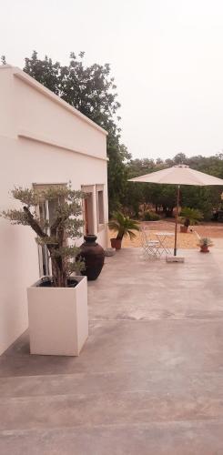 a white building with a tree and an umbrella at Quinta das Pedras - Tavira in Tavira