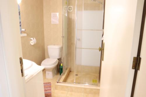 La salle de bains est pourvue d'une douche, de toilettes et d'un lavabo. dans l'établissement Private 2-bedroom apartment & private solar heated pool WiFi, AC, à Tábua