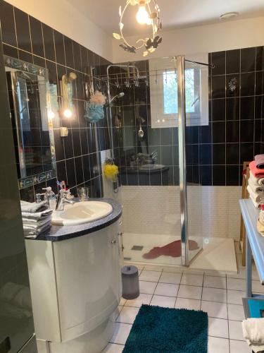 ein Bad mit einer Dusche, einem Waschbecken und einer Dusche in der Unterkunft Ma demeure in Le Gué-de-Longroi