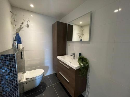 ein Badezimmer mit einem Waschbecken, einem WC und einem Spiegel in der Unterkunft Hanendorper Hoeve - gastenhuisje bij monumentale boerderij in Emst