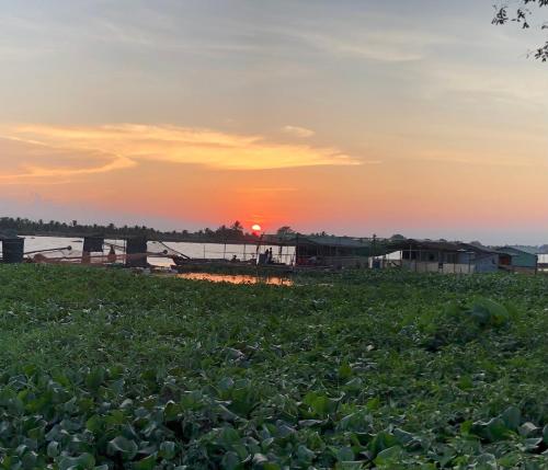 a field with the sunset in the background at Cóc Retreat Mỹ Tho City in My Tho