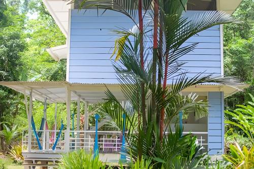 a blue house with a palm tree in front of it at Jungle Dreamz in Manzanillo