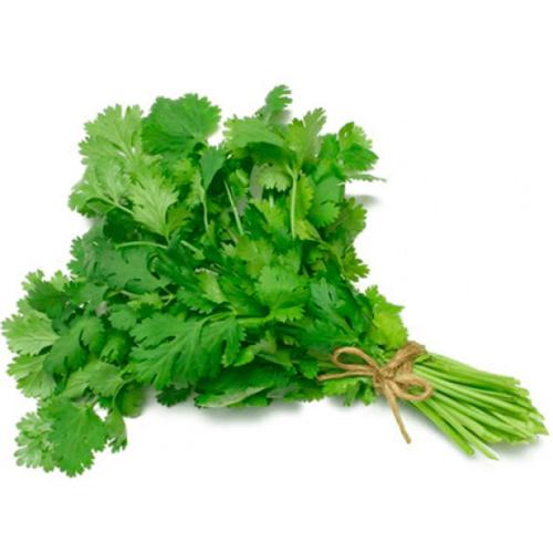 a bunch of parsley on a white background at Quarto do Igor in Portel