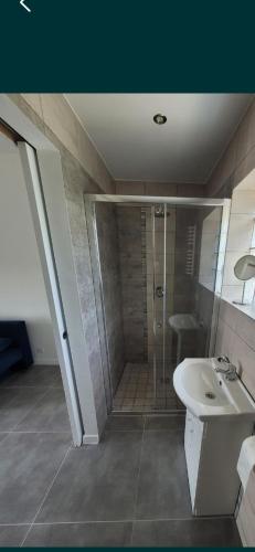 a bathroom with a shower and a sink at Pokoje gościnne Przystań in Sarbinowo