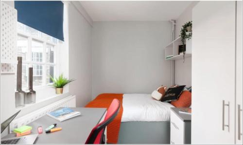 a bedroom with a bed and a desk with a table at Spacious room with shared facilities in London