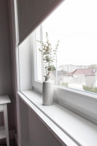 a vase sitting on a window sill with a plant at Castlemilk Apartment in Glasgow