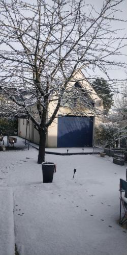 une cour enneigée avec un arbre et un bâtiment dans l'établissement Logement entier, indépendant et au calme (2 à 4 personnes) à Cormeilles en Parisis, à 15 mn de Paris, à Cormeilles-en-Parisis