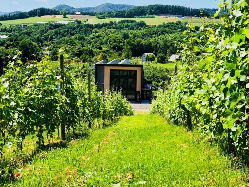 a small building in the middle of a field of vines at Domaine Bless in Niki