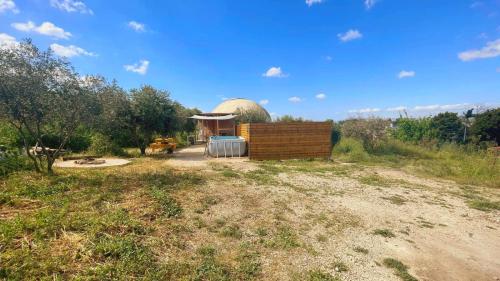 Dome in the Olive Grove כיפה גיאודזית ענקית ומודרנית בין עצי הזית