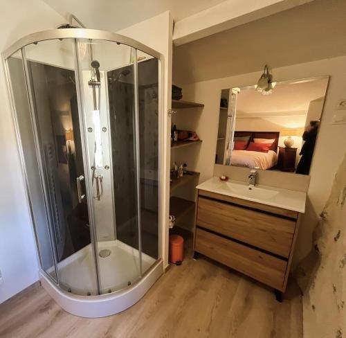 een badkamer met een douche, een wastafel en een spiegel bij La Casita in Moltig les Bains