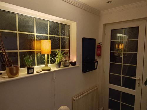 a window with a lamp and plants on a window sill at Convenient Luton Rooms in Luton