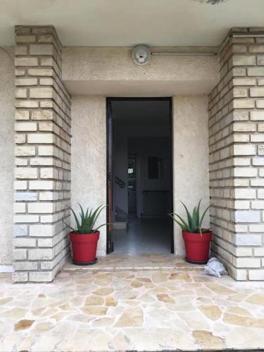 deux usines en pot installées devant un bâtiment dans l'établissement Villa Amahenthe, à Six-Fours-les-Plages