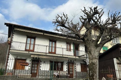 a white house with a tree in front of it at CASA BICIURLIN in Agrano