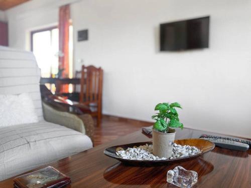 Fotografie z fotogalerie ubytování Boem Villas v destinaci Lezhë