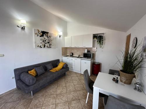 Kuchyň nebo kuchyňský kout v ubytování Studio Apartman Luka