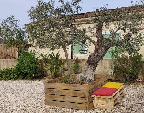 un arbre dans une boîte en bois à côté d'un arbre dans l'établissement Les figues, à Hyères