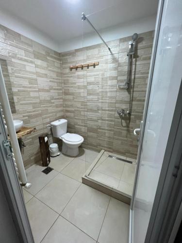 a bathroom with a toilet and a glass shower at Bârlogul Urșilor in Şinca Veche