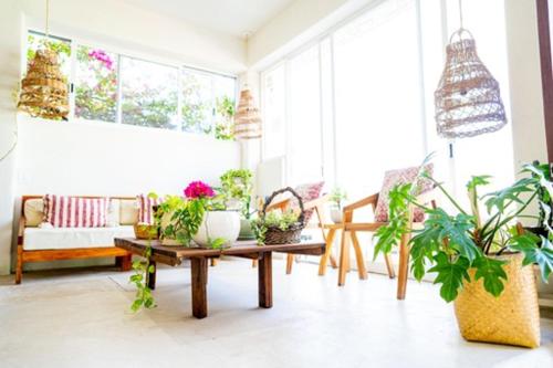 a living room filled with lots of plants and a table at Hotel Boutique Pachamama in Mahahual