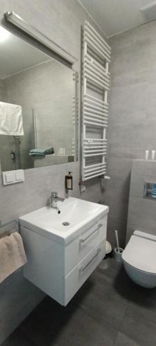Un baño con un lavabo blanco y un inodoro. en Flamingo 31, en Międzyzdroje