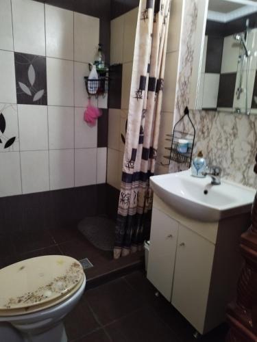 łazienka z toaletą i umywalką w obiekcie Casa Sofiandra w mieście Paleu