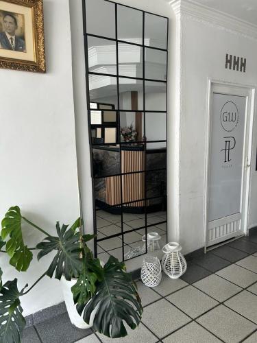 a room with a mirror and plants on the floor at HOTEL HERNANDO HENRY in San Andrés