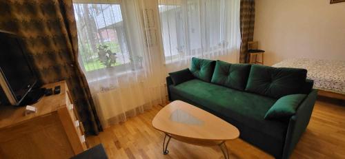 a living room with a green couch and a table at AQUA Apartamentai prie AQUA PARKO in Druskininkai