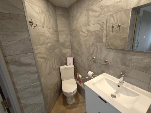 a bathroom with a toilet and a sink and a mirror at Au Jardin d'Edel Gîtes Centre Alsace in Dieffenthal