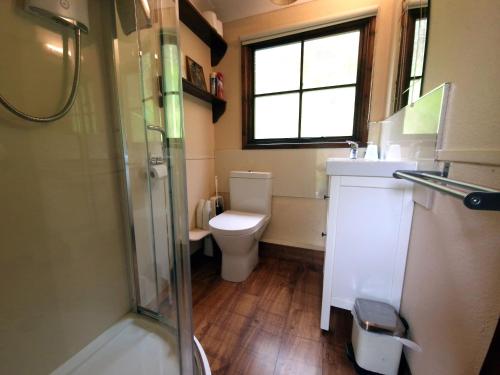 a bathroom with a toilet and a sink and a shower at Y Caban at Wig Farm near Llangrannog in Llandysul