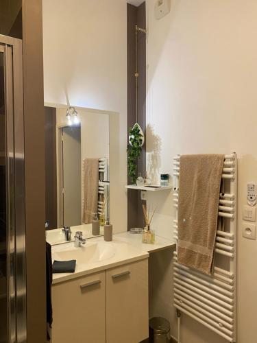 une salle de bain avec un lavabo et un miroir dans l'établissement Pornichet 4 personnes a 3 mns de la plage avec jardin, à Pornichet