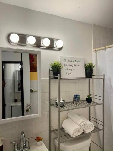 a bathroom with a sink and a mirror and towels at Cozy apartment near Seminole Hard Rock Cafe in Hollywood