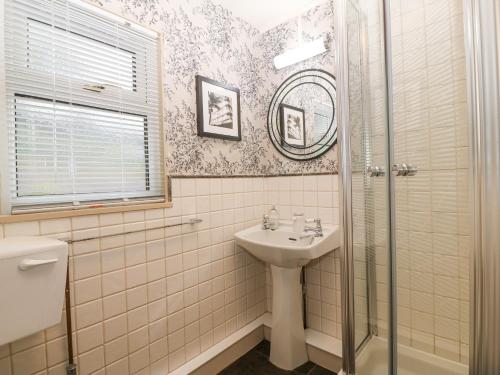 La salle de bains est pourvue d'un lavabo et d'une douche. dans l'établissement Mulberry Cabin On The Lake, à Caernarfon