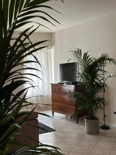 a living room with a tv and a dresser with plants at Hotel Ristorante San Giuseppe in Cernobbio
