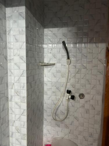 y baño con ducha de azulejos blancos. en Sangam palace en Bettiah