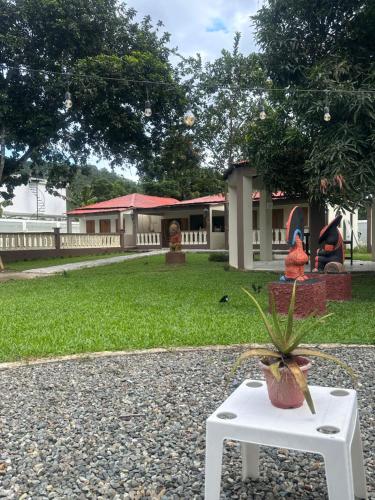 a plant on a white table in front of a house at Villa Familiar con Piscina Privada y Rio in Bonao