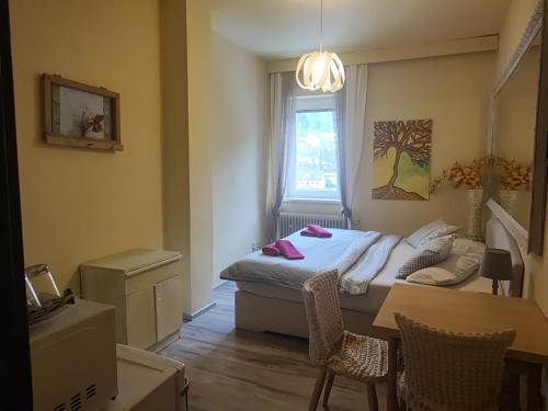 a bedroom with a bed and a table and chairs at Penzion Přívoz in Hřensko