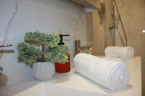 a bathroom with a sink with a toilet paper roll at Château La Fontaine - stylish accomodation - green environment in Mons