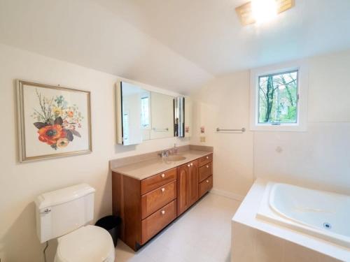 een badkamer met een wastafel, een toilet en een spiegel bij Berkshire Vacation Rentals: Loft Style Cabin In West Stockbridge Book Now in West Stockbridge